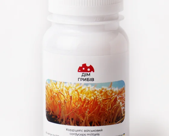 Мухоморы в капсулах – для вашего здоровья - фото № 4