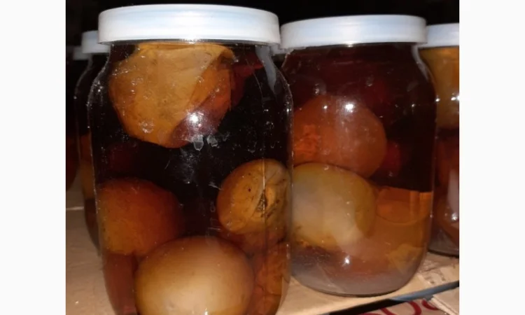 Продается настойка гриба Веселка - фото № 1