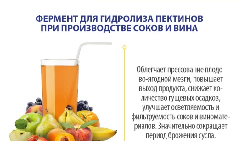 Фермент Пектиназа (Pectinase) для соков и виноматериалов - фото № 4