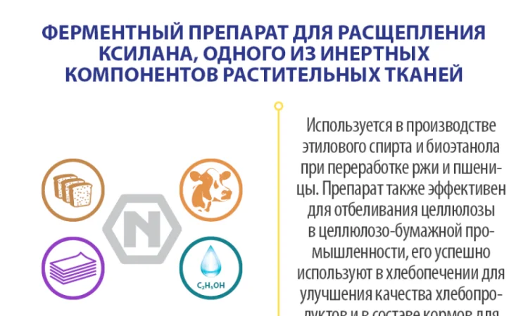 Ксиланаза (Xylanase) – фермент для сільського господарства - фото № 3