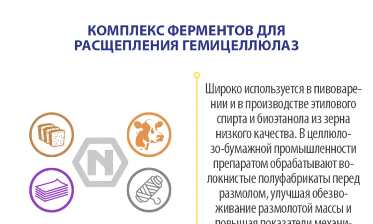 Бета-глюканаза (Beta-glucanase) – ферментный препарат - фото № 3