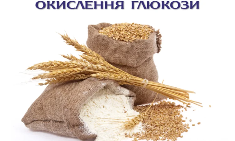 Глюкозооксидаза (Glucose oxidase) - фермент для сельхоз производства - фото № 2