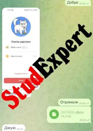 Купить раздел бакалаврской работы в Львове - фото № 16
