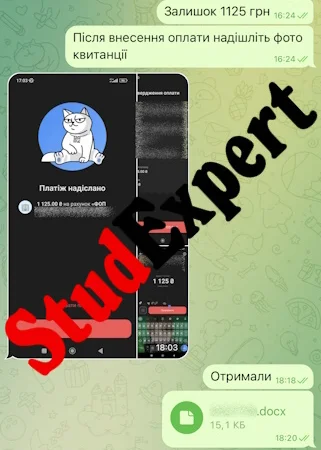 Купить раздел дипломной работы в Украине - фото № 6