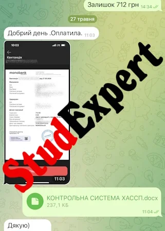 Купить качественную статью категории Б в Украине - фото № 9