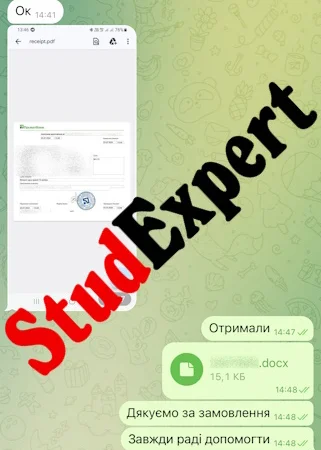 Купить отчет по преддипломной практике в Украине - фото № 14