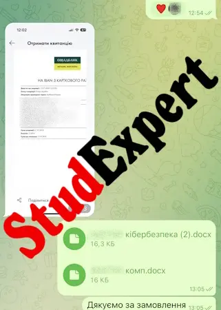Купити емпіричну частину дисертації в Україні - фото № 11