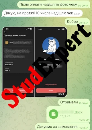 Купить эмпирическую часть диссертации в Украине - фото № 20