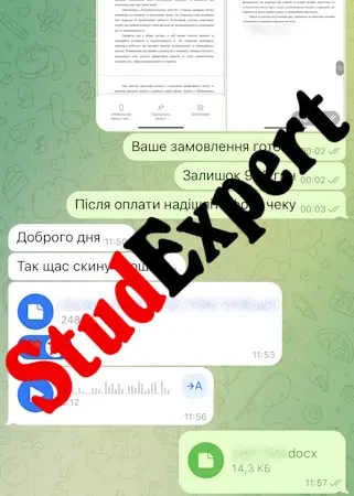 Купити емпіричну частину дисертації в Україні - фото № 4