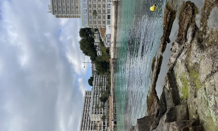 Тест - фото № 1