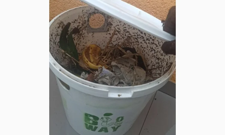 Компостер для каліфорнійських черв'яків для компосту - фото № 6
