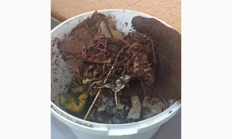 Компостер для каліфорнійських черв'яків для компосту - фото № 7