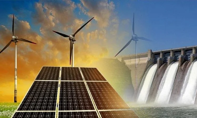 Сопровождение по предприятиям в Португалии и Испании - фото № 1