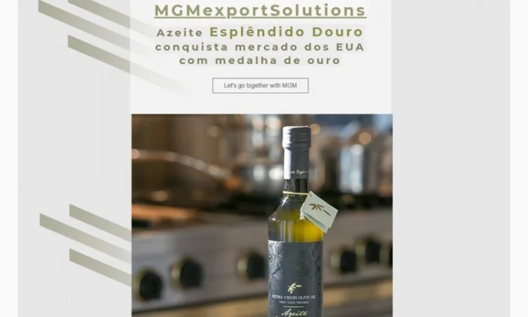 Оливковое масло - продукция с золотой медалью - фото № 1