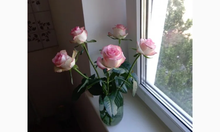 Ремонт откосов на окна и двери в Киеве - фото № 1