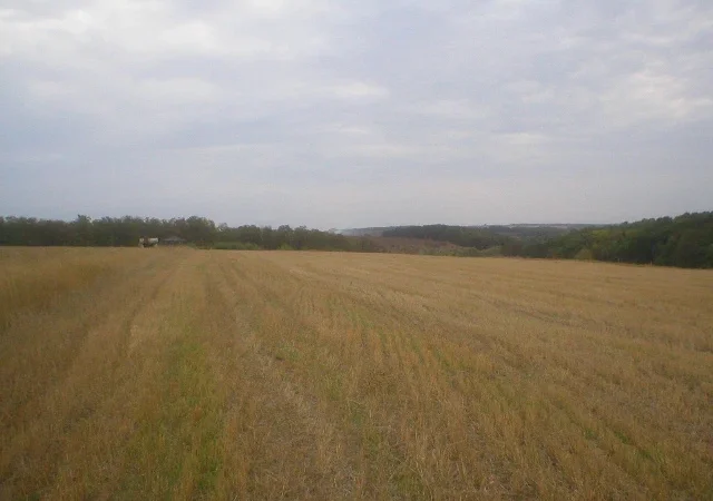 Продается земельный участок 12 га с домом и складом - фото № 1