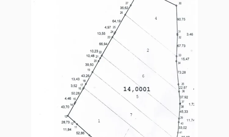 Продается земельный участок 12 га с домом и складом - фото № 3