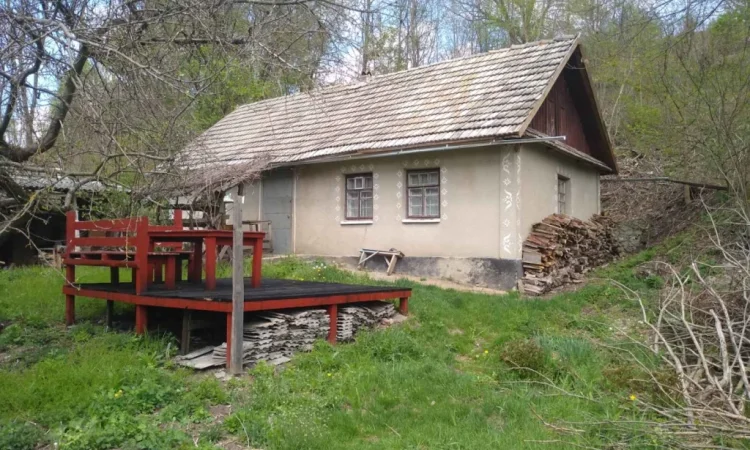 Продается земельный участок 12 га с домом и складом - фото № 4