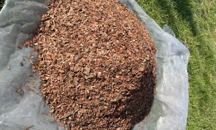 Мульча для садов и огородов - фото № 2