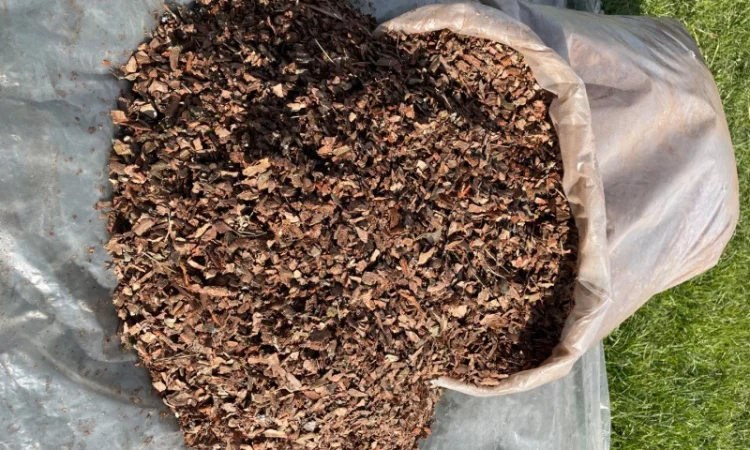 Мульча для садов и огородов - фото № 6