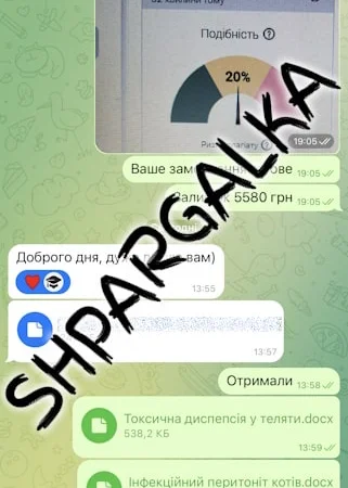 Чертежи для магистерских работ на заказ в Днепре - фото № 18