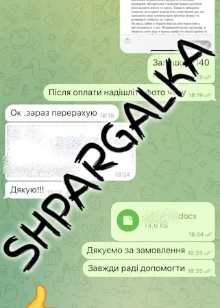 Аннотация к диссертации на заказ в Днепре - фото № 6