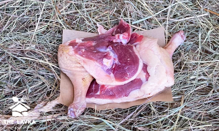 Продажа гусиной ножки, гусятина - фото № 1