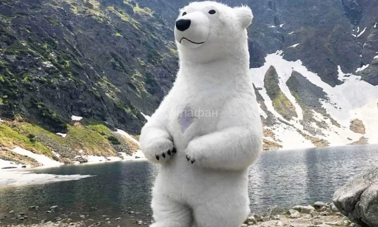 Надувной костюм «Белый Медведь» от производителя - фото № 4