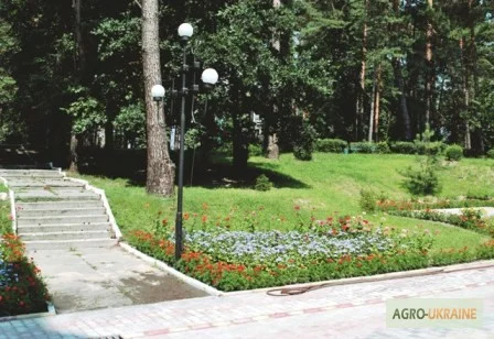 Срочная продажа! Санаторий на берегу Днепра, 10 км от Черкасс, 62 га - фото № 8