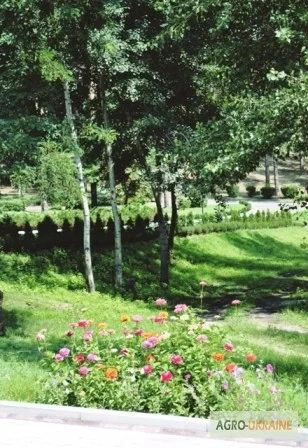 Срочная продажа! Санаторий на берегу Днепра, 10 км от Черкасс, 62 га - фото № 6