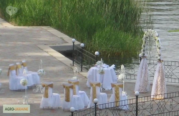 Срочная продажа! Санаторий на берегу Днепра, 10 км от Черкасс, 62 га - фото № 3