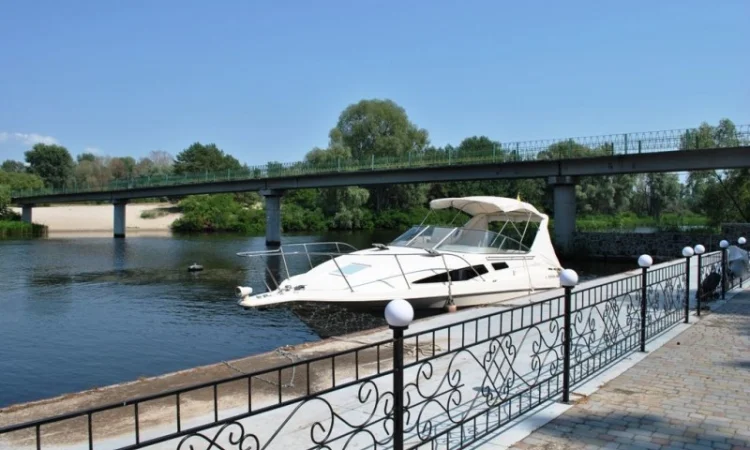 Срочная продажа! Санаторий на берегу Днепра, 10 км от Черкасс, 62 га - фото № 18