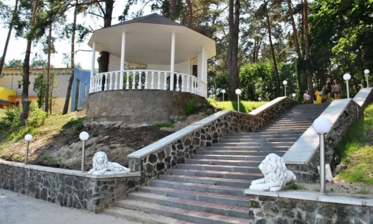 Срочная продажа! Санаторий на берегу Днепра, 10 км от Черкасс, 62 га - фото № 17