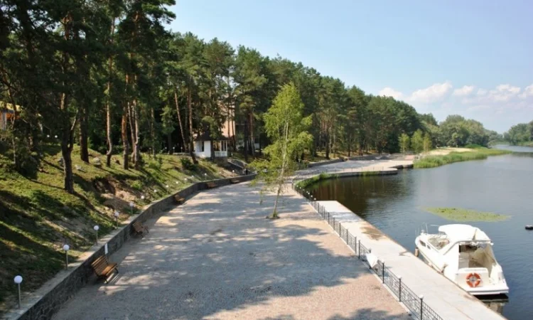 Срочная продажа! Санаторий на берегу Днепра, 10 км от Черкасс, 62 га - фото № 15