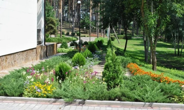 Срочная продажа! Санаторий на берегу Днепра, 10 км от Черкасс, 62 га - фото № 13