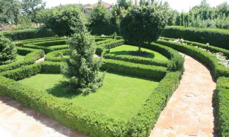 Элитное домовладение с бассейном и сауной в г. Черкассы - фото № 16