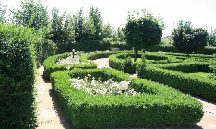 Элитное домовладение с бассейном и сауной в г. Черкассы - фото № 12