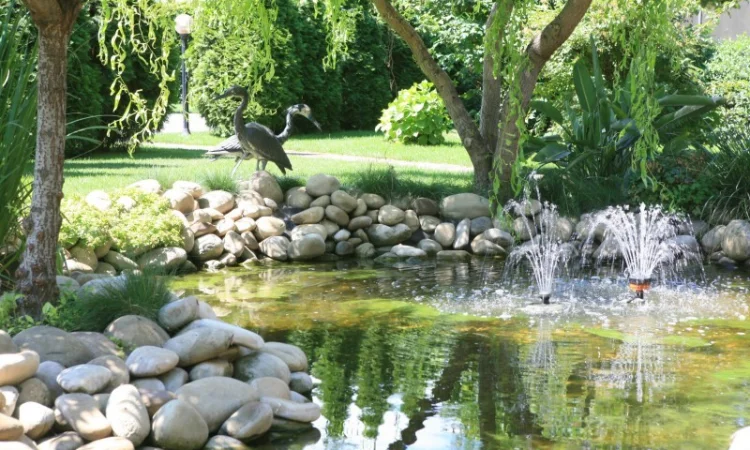 Элитное домовладение с бассейном и сауной в г. Черкассы - фото № 11