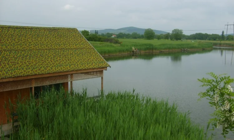 Продается уникальный VIP объект Озеро "Рай" в г. Берегово Закарпатская обл. - фото № 2