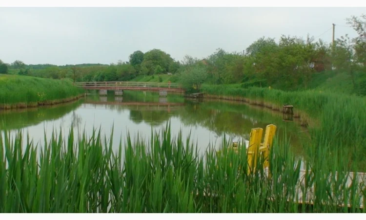 Продается уникальный VIP объект Озеро "Рай" в г. Берегово Закарпатская обл. - фото № 9