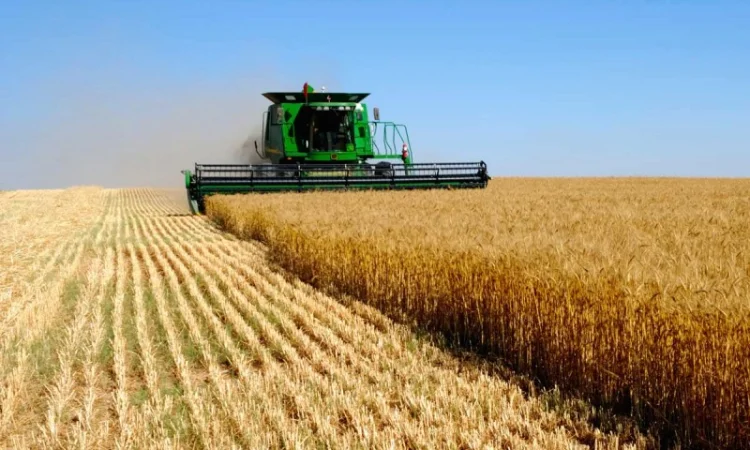 Продажа корпоративных прав ТОВ на левом берегу Днепра - фото № 1