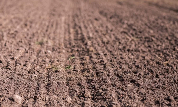 Продажа агрокомпании: 1300 га в Ровенской области - фото № 1