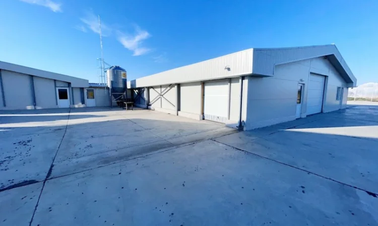 Свиноферма на 1400 голов в Румынии - фото № 1