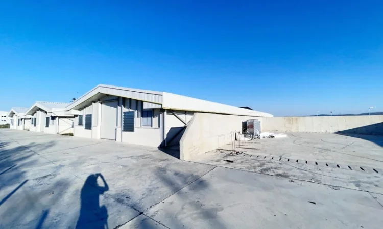 Свиноферма на 1400 голов в Румынии - фото № 2