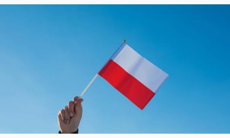 Продаж та виробництво товарів з Польщі - фото № 1