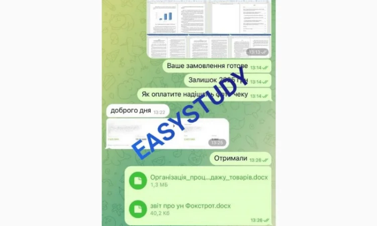 Заказать магистерскую работу - фото № 5