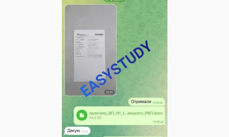 Заказать бакалаврскую работу с гарантией качества - фото № 11