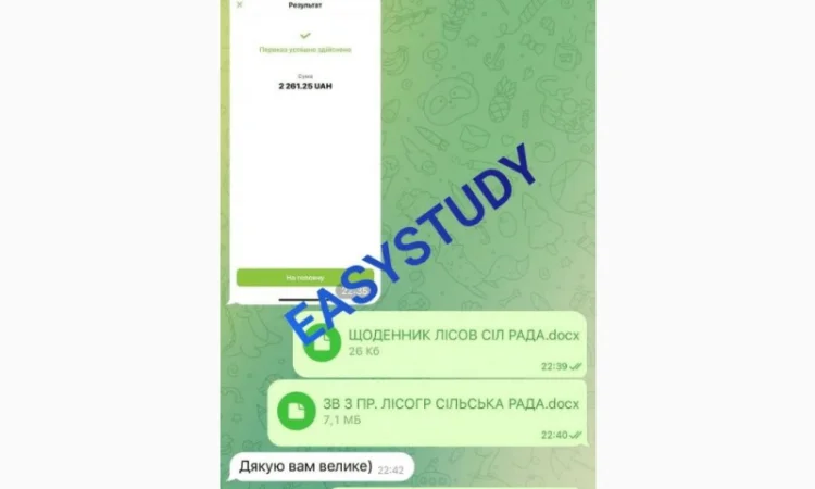 Заказ студенческой работы с гарантией качества - фото № 11