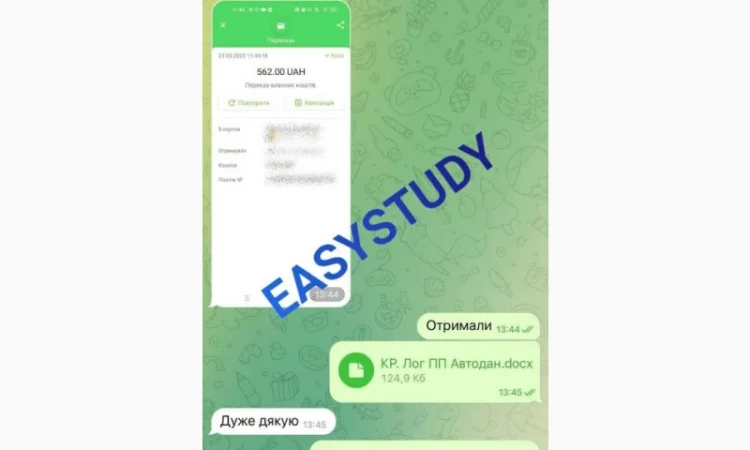 Заказ студенческой работы с гарантией качества - фото № 4