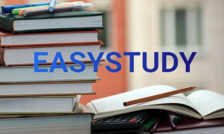 Заказать магистерскую диссертацию профессионально - фото № 1